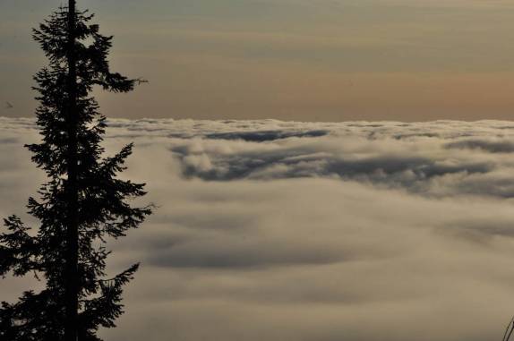 Fim de tarde gelado e cinematográfico no Sequoia National Park,  na Califórnia - EUA